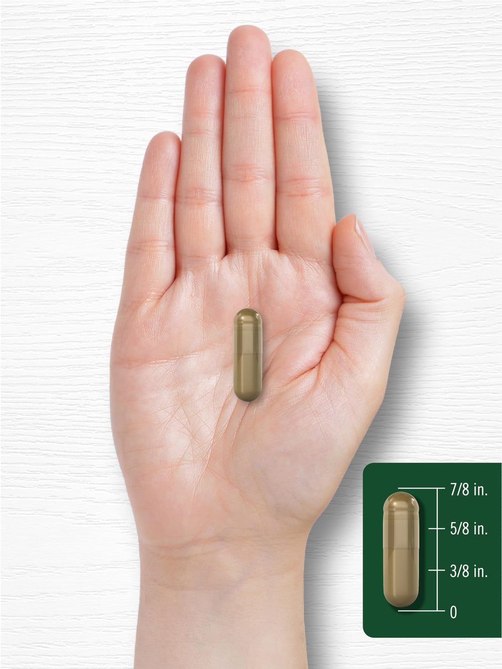 Wellness concept with herbs and capsules for healthy living