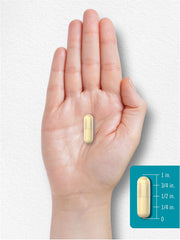 Lifestyle image illustrating healthy living with capsules