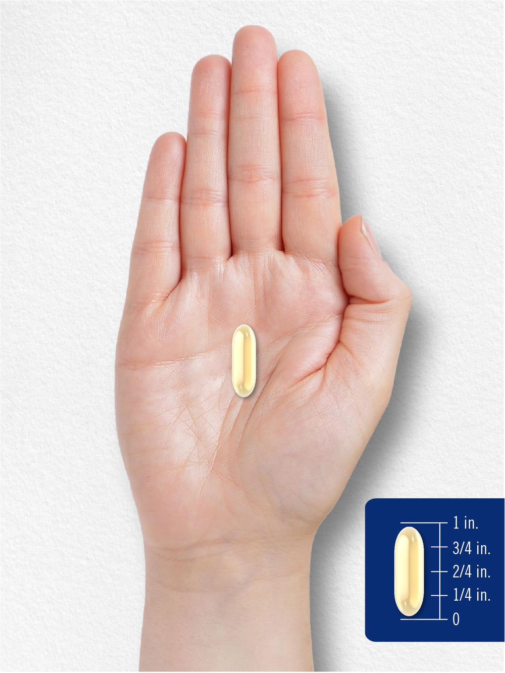 Supplement facts and ingredients panel