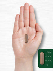 Front view of Carlyle Pycnogenol bottle with cap