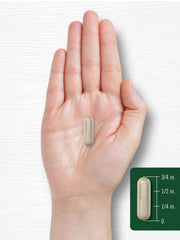 Naturally free from gluten, wheat, yeast, milk and artificial additives