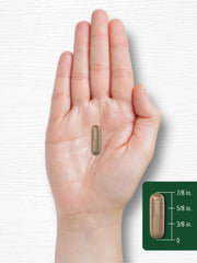 Carlyle Soursop Leaves 2000mg 160 capsules product dimensions