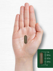 Lifestyle image featuring Carlyle Triphala capsules