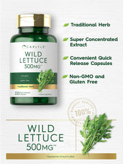 Ingredients label for Carlyle Wild Lettuce Extract 500mg