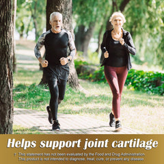Pack shot of Cartilage-age 750 mg 100 capsules