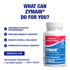 Bovine cartilage minerals concept image