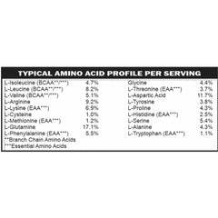Casa de Sante vanilla protein shake in a glass showing natural flavor