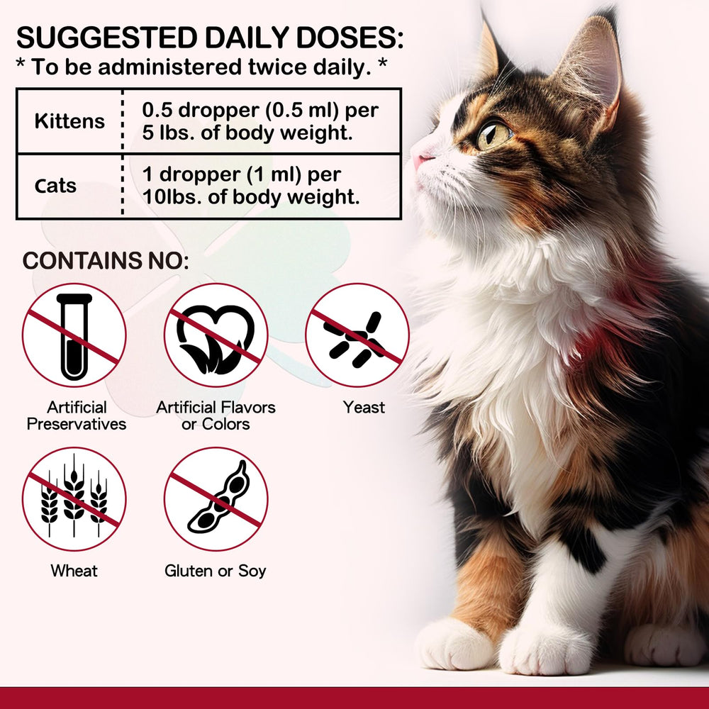 Cat vitality boosted by liquid iron