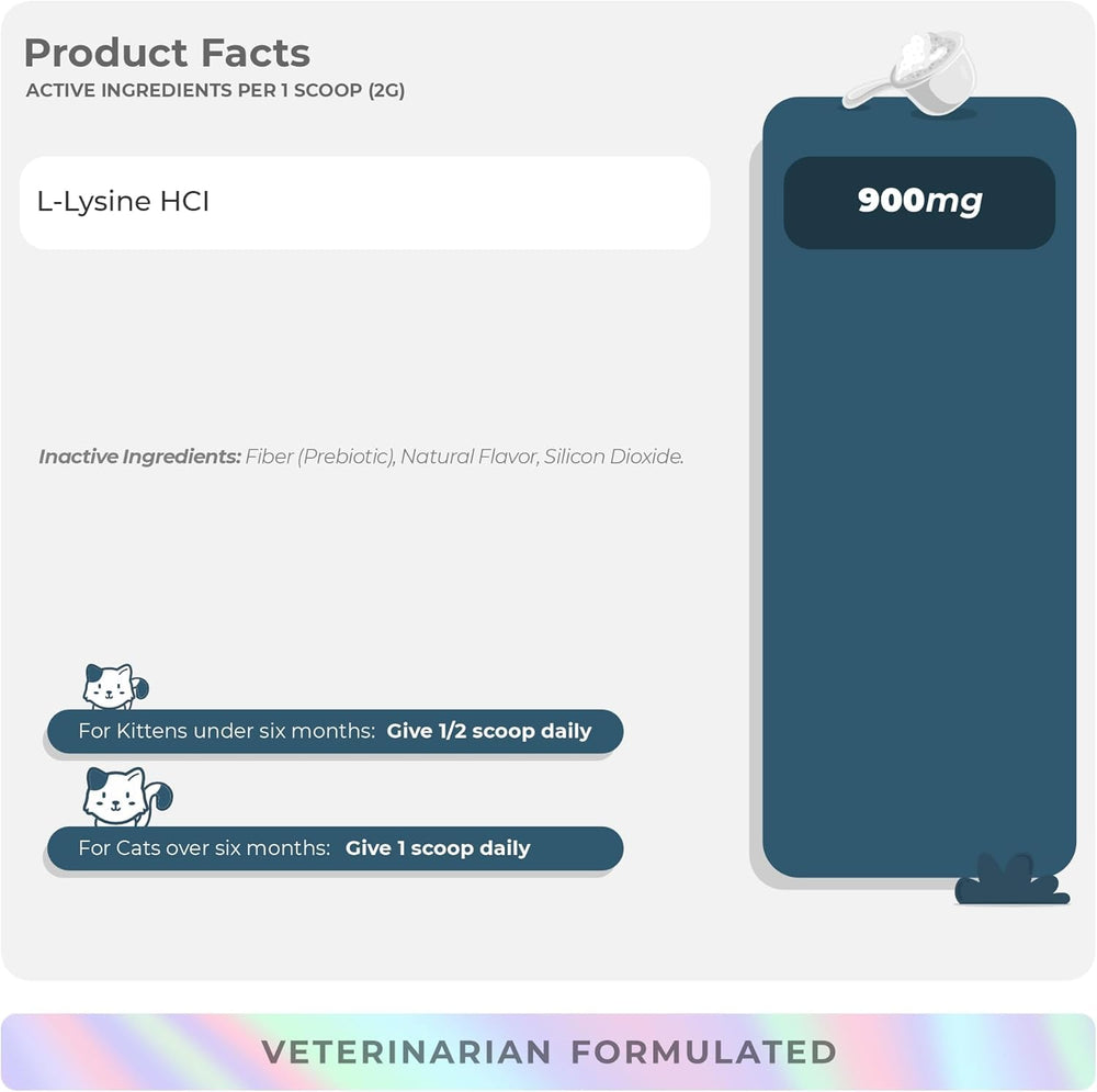 Sneeze relief using L-Lysine for cats