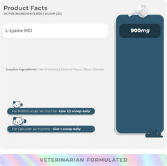 Sneeze relief using L-Lysine for cats