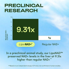 Cata-Kor Liposomal NAD capsules shown for daily use
