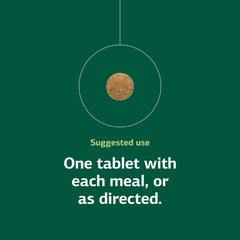 Brain and nervous system support image for Cataplex B2