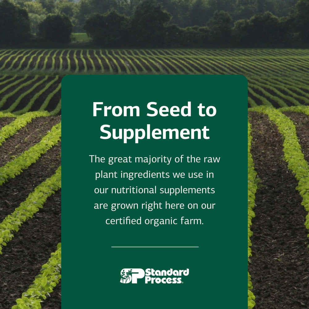 Wheat germ and ingredients in Cataplex B2