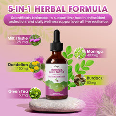 Herbal ingredients Moringa, Dandelion, Burdock, Green Tea illustrated