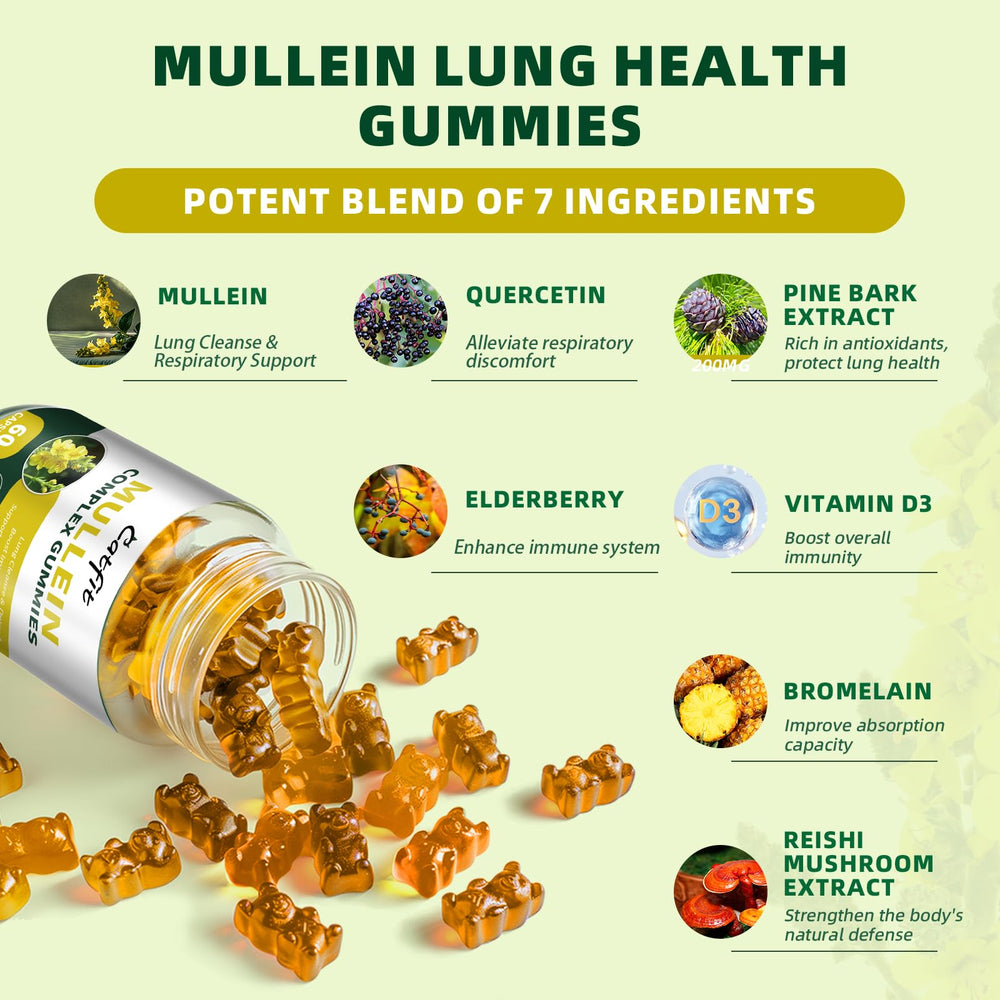 Catfit Mullein Gummies lung health benefits graphic