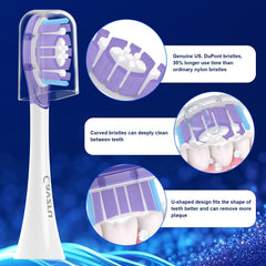 Six individually packaged Cavzru heads with hygienic covers for travel