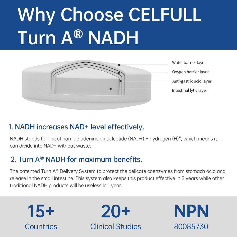 CELFULL NADH tablet image emphasizing its stabilized form for absorption