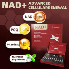 Liposomal NAD+ with Resveratrol illustration