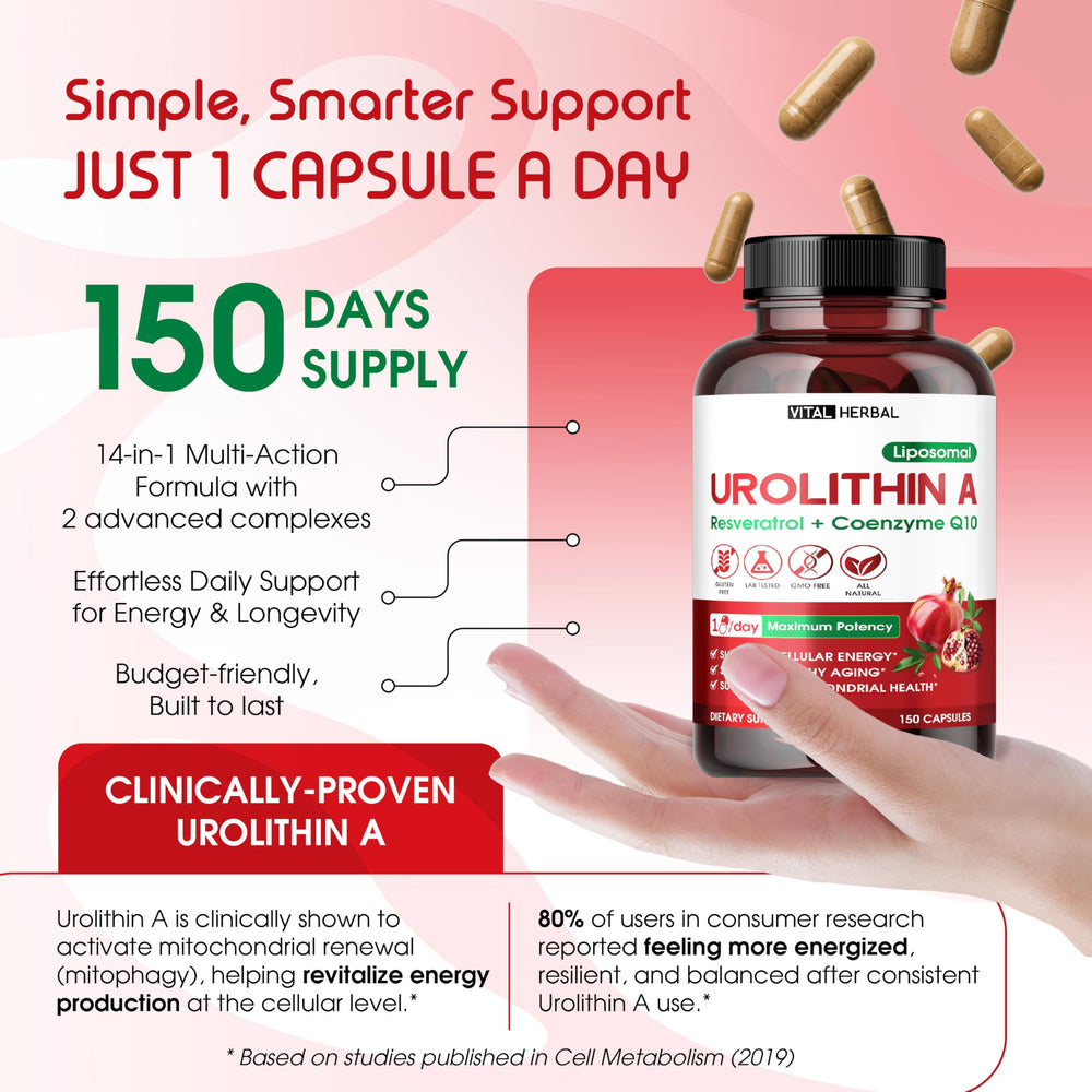 Cellular energy support illustration