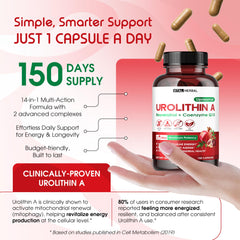 Cellular energy support illustration