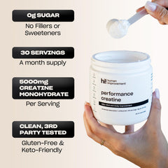 Creatine supporting cellular energy and repair in mitochondria