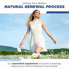 Concept of cellular renewal with spermidine