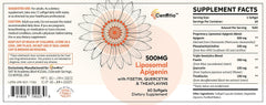 Illustration of liposomal absorption technology