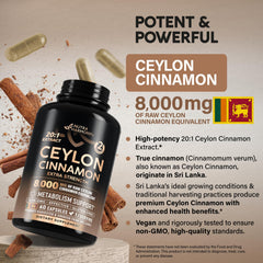 Close-up of Cinnamon 20:1 extract capsule