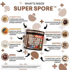 Reishi, chaga, and agarikon mushroom extract capsules