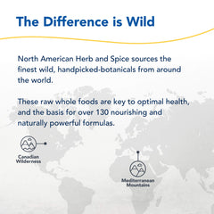 Non-GMO and 90 servings badge on bottle