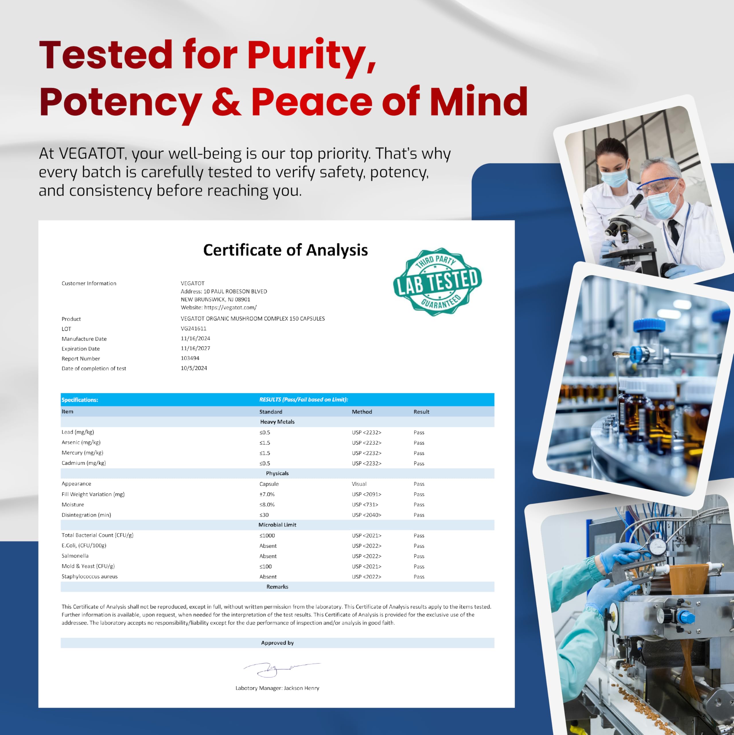 Chaga mushroom close-up Chaga mushroom close-up