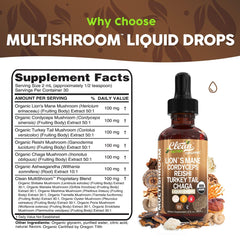 Reishi and Chaga mushroom powders for immunity