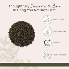 Cup of tea with steeped chaparral leaf infusion