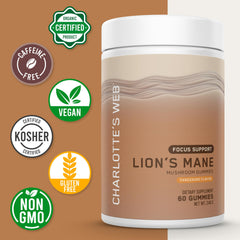 Close-up of Focus Support Mushroom Gummies showing Tangerine flavor
