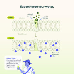 Cheers Hydrate mixed in water highlights quick absorption and electrolyte balance.