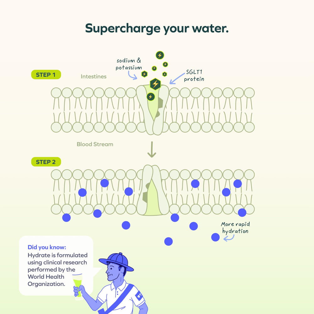 Cheers Hydrate mixing water, simple refreshing rehydration after activity.