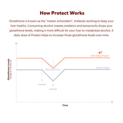 Ginger extract and prickly pear imagery representing ingredients