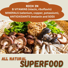 Close-up of seven mushrooms included in the blend