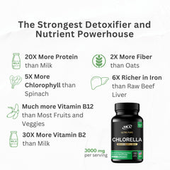 Detox concept with chlorella bottle and capsules