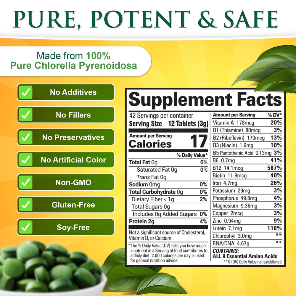 Close-up of a 250 mg chlorella tablet held in hand