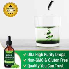 Chlorophyll drops illustrating digestive detox and immune support