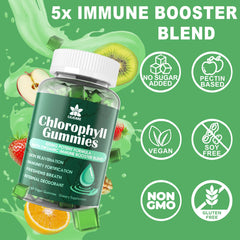 Pack of 2 bottles of Chlorophyll Gummies on display