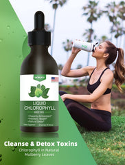 Nutrition facts label and ingredients of Chlorophyll Liquid Drops