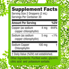 Illustration of potential health benefits from Chlorophyll Drops