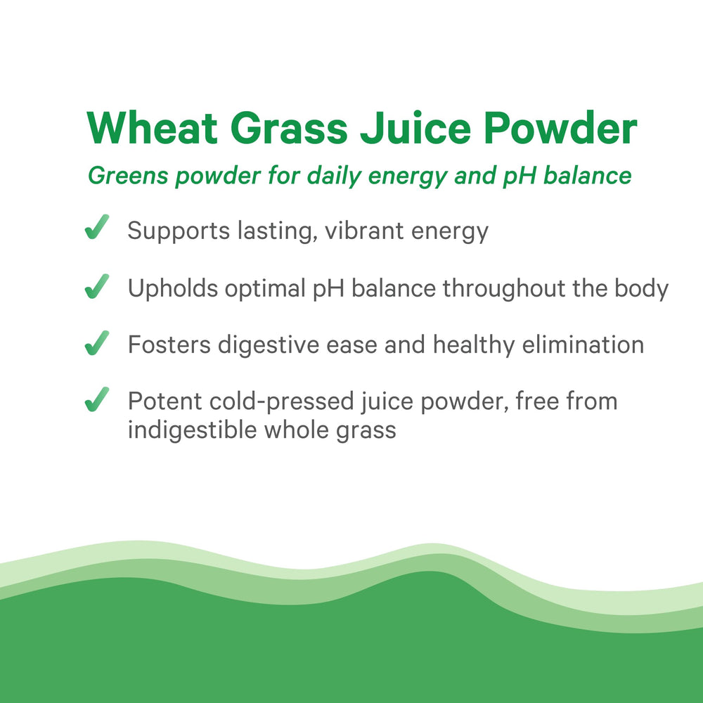 Chlorophyll-rich ingredients highlight on wheat grass powder.