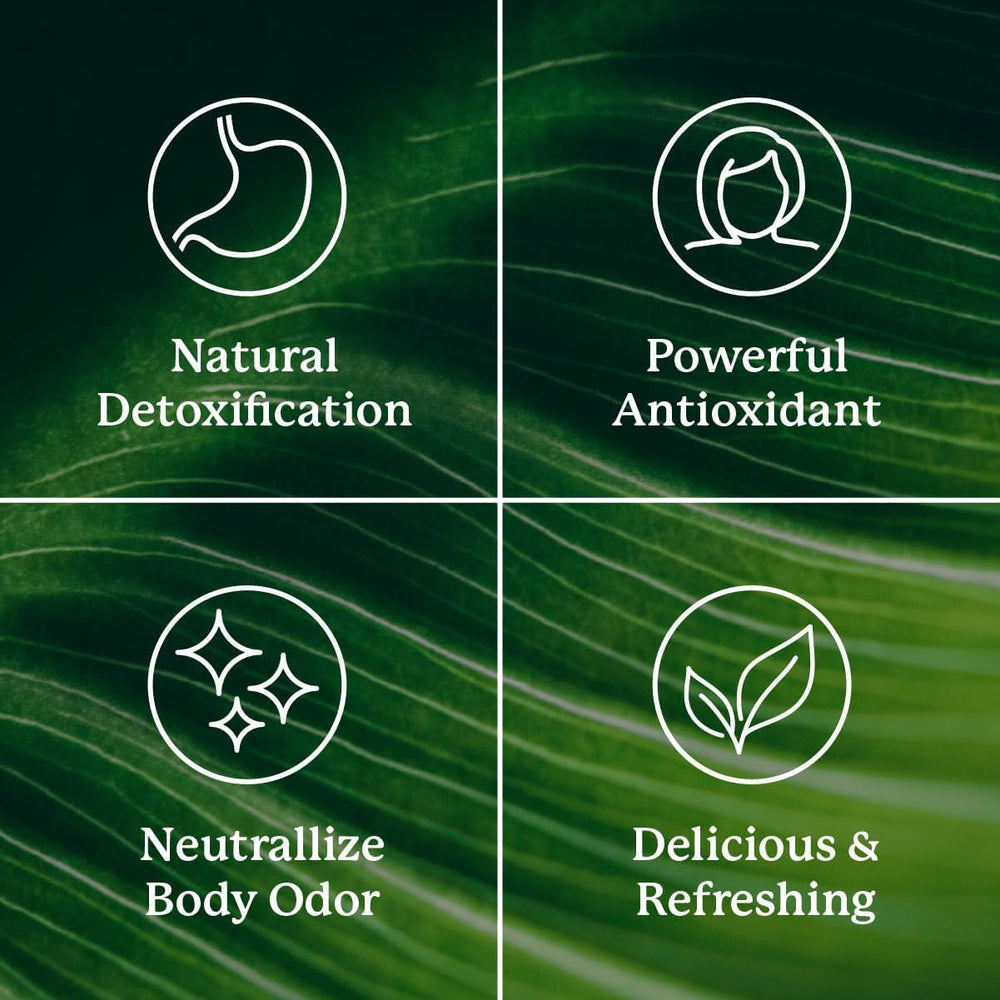 Glass of chlorophyll-infused water with sweet melon flavor
