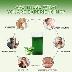 Prepared Lime Twist chlorophyll drink in a glass