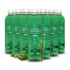 Chlorophyll Water 12-pack front view showing bottles (16.9oz each)