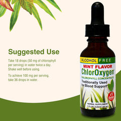 ChlorOxygen Chlorophyll Concentrate bottle with dropper