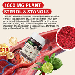 Red yeast rice ingredient image